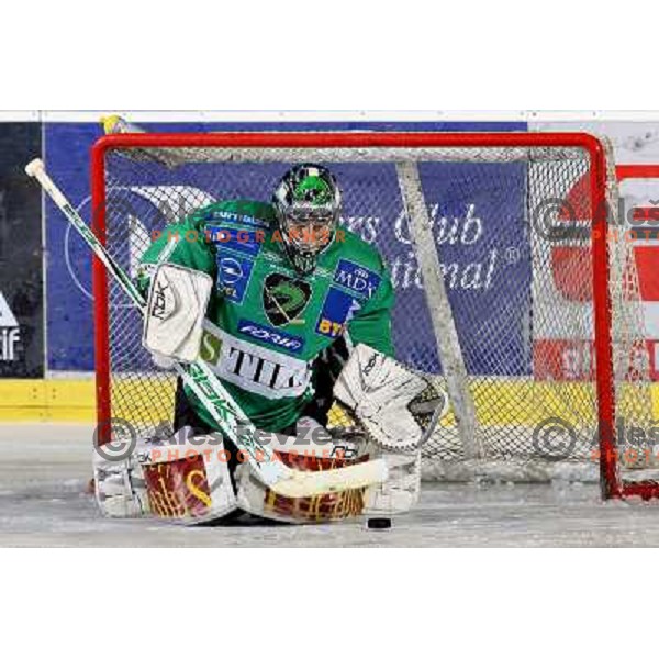 Ales Sila at ice hockey match Tilia Olimpija-VSV in EBEL league, played in Hala Tivoli, Ljubljana 5.12.2008 