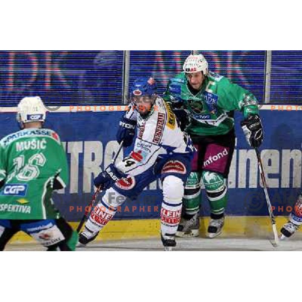 Mapletoft (14) and Vnuk (24) at ice hockey match Tilia Olimpija-VSV in EBEL league, played in Hala Tivoli, Ljubljana 5.12.2008 