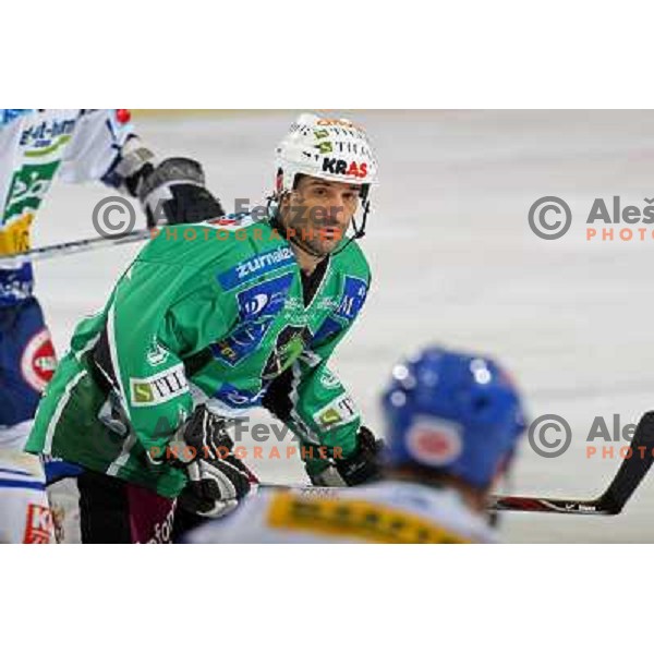 Intranuovo at ice hockey match Tilia olimpija- VSV in EBEL leageu, played in Hala Tivoli 5.12.2008. Tilia Olimpija won 7:5 after penalty shot-out 