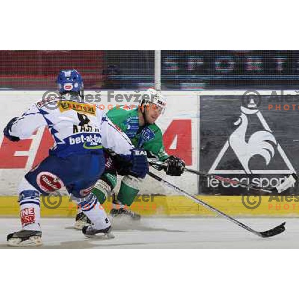 Mitchell at ice hockey match Tilia olimpija- VSV in EBEL leageu, played in Hala Tivoli 5.12.2008. Tilia Olimpija won 7:5 after penalty shot-out 