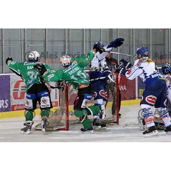 Banham, Yarema at ice hockey match Tilia olimpija- VSV in EBEL leageu, played in Hala Tivoli 5.12.2008. Tilia Olimpija won 7:5 after penalty shot-out 