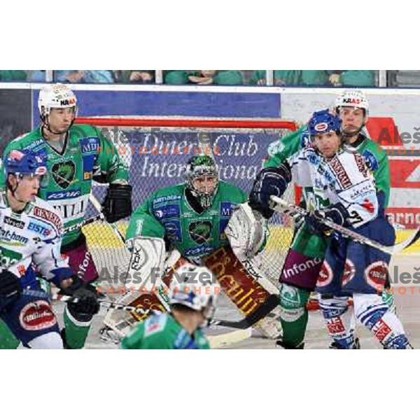 Cvetek, Sila, Patrilainen at ice hockey match Tilia olimpija- VSV in EBEL leageu, played in Hala Tivoli 5.12.2008. Tilia Olimpija won 7:5 after penalty shot-out 