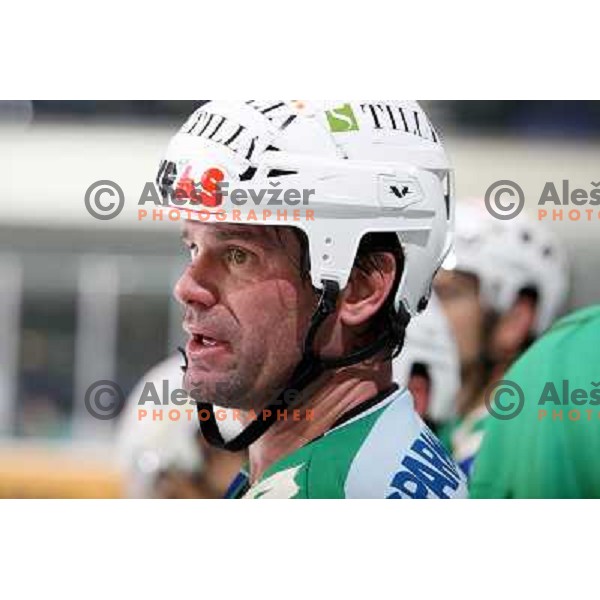 Todd Elik at ice hockey match Tilia olimpija- VSV in EBEL leageu, played in Hala Tivoli 5.12.2008. Tilia Olimpija won 7:5 after penalty shot-out 