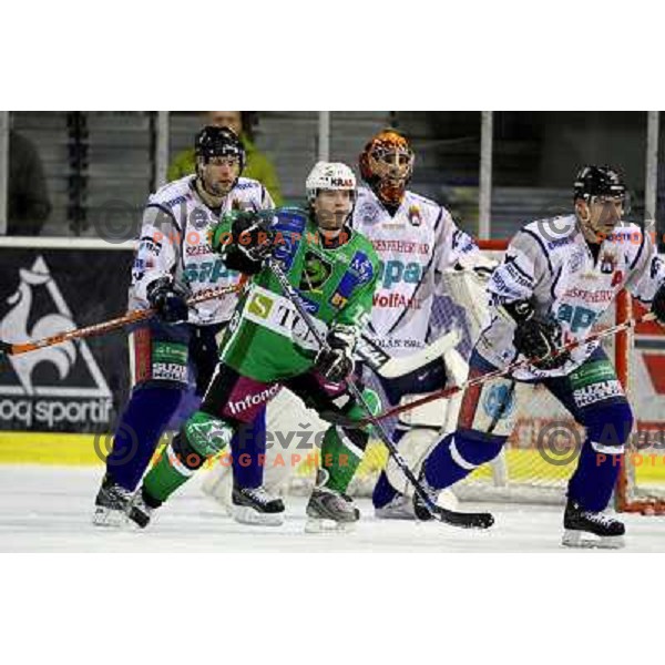 Ales Music at ice hockey match Tilia Olimpija-Alba in EBEl league, played in Hala Tivoli, Ljubljana 9.12.2008 