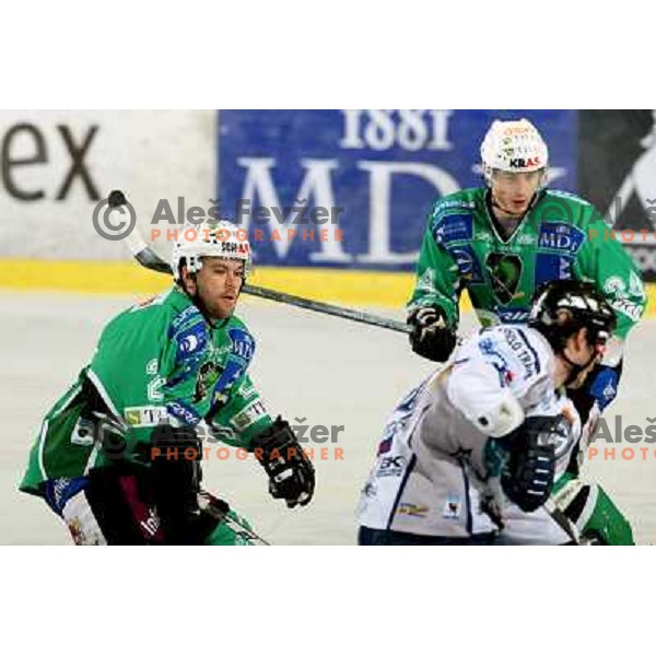 Mitchell and Pavlin at ice hockey match Tilia Olimpija-Alba in EBEl league, played in Hala Tivoli, Ljubljana 9.12.2008 