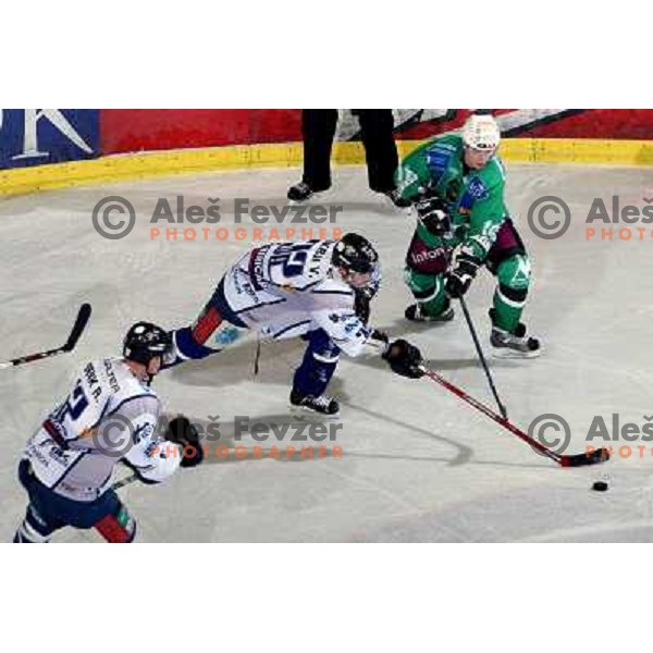 Music at ice hockey match Tilia Olimpija-Alba in EBEl league, played in Hala Tivoli, Ljubljana 9.12.2008 