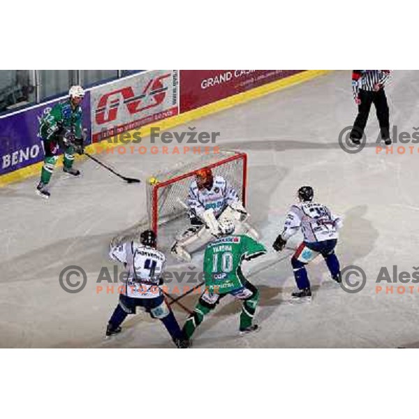 Elik and Yarema at ice hockey match Tilia Olimpija-Alba in EBEl league, played in Hala Tivoli, Ljubljana 9.12.2008 