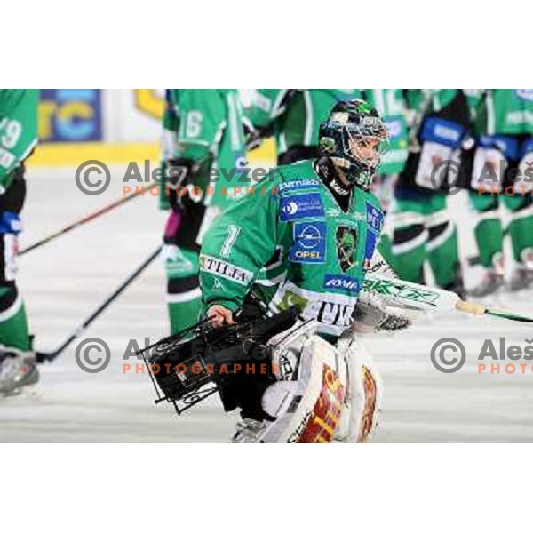 Ales Sila at ice hockey match Tilia Olimpija-Alba in EBEl league, played in Hala Tivoli, Ljubljana 9.12.2008 
