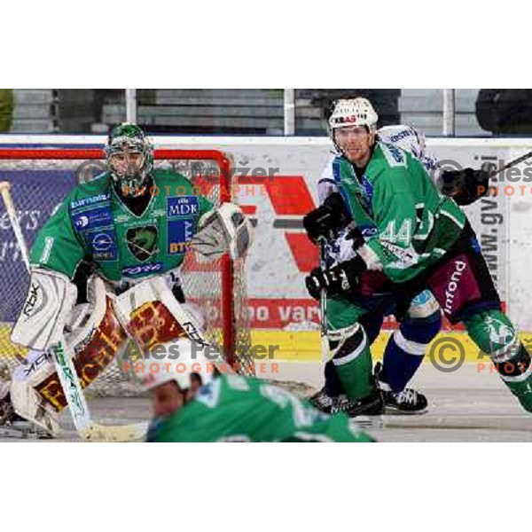Sila and Tavzelj at ice hockey match Tilia Olimpija-Alba in EBEl league, played in Hala Tivoli, Ljubljana 9.12.2008 