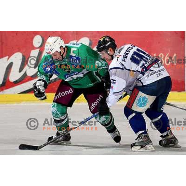 Vnuk and Fekete at ice hockey match Tilia Olimpija-Alba in EBEl league, played in Hala Tivoli, Ljubljana 9.12.2008 
