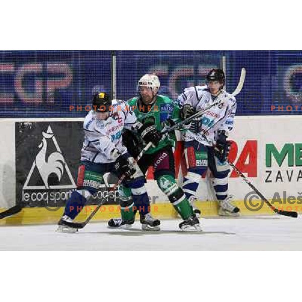Tavzelj at ice hockey match Tilia Olimpija-Alba in EBEl league, played in Hala Tivoli, Ljubljana 9.12.2008 