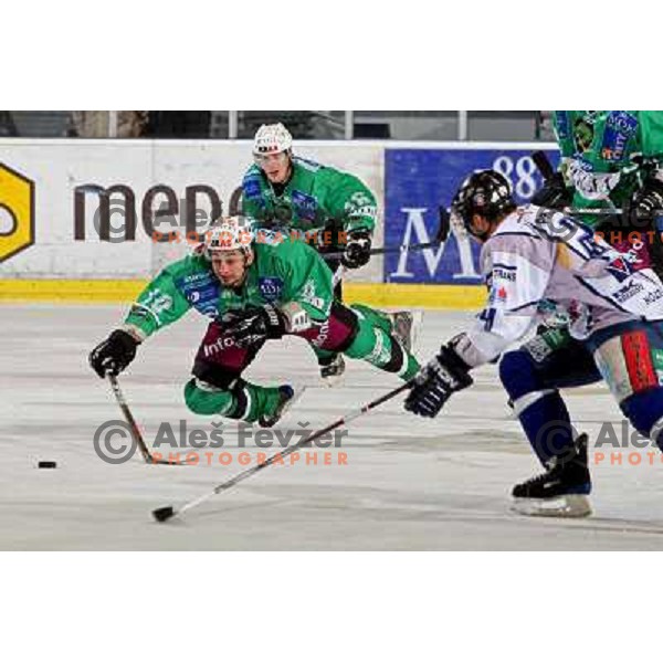 Yarema at ice hockey match Tilia Olimpija-Alba in EBEl league, played in Hala Tivoli, Ljubljana 9.12.2008 