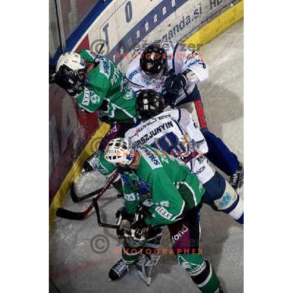 at ice hockey match Tilia Olimpija-Alba in EBEl league, played in Hala Tivoli, Ljubljana 9.12.2008 
