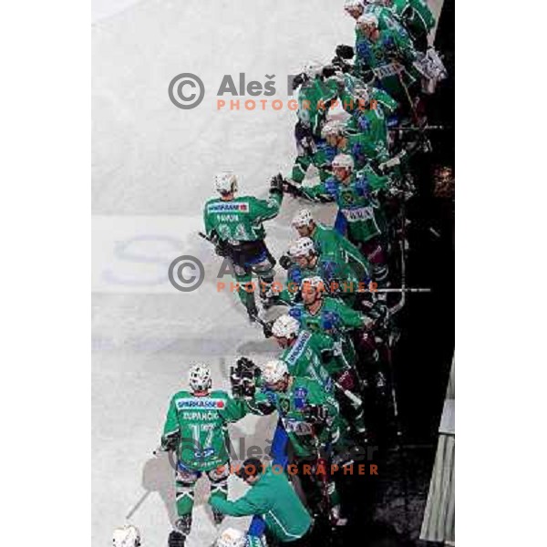 at ice hockey match Tilia Olimpija-Alba in EBEl league, played in Hala Tivoli, Ljubljana 9.12.2008 