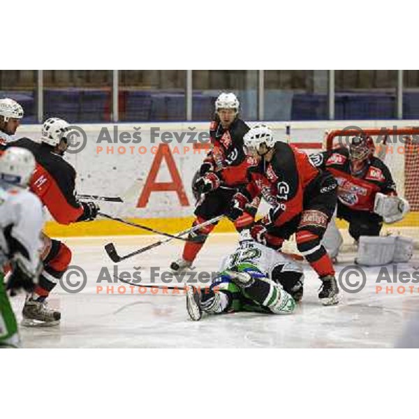 Elik , Kranjc at ice hockey match Acroni Jesenice- Tilia Olimpija in round 32 of EBE league, played in Podmezakla, Jesenice 12.12.2008. Acroni Jesenice won 5:0 