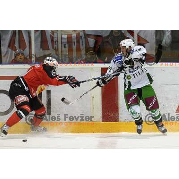 Tomaz Vnuk (right) at ice hockey match Acroni Jesenice- Tilia Olimpija in round 32 of EBE league, played in Podmezakla, Jesenice 12.12.2008. Acroni Jesenice won 5:0 