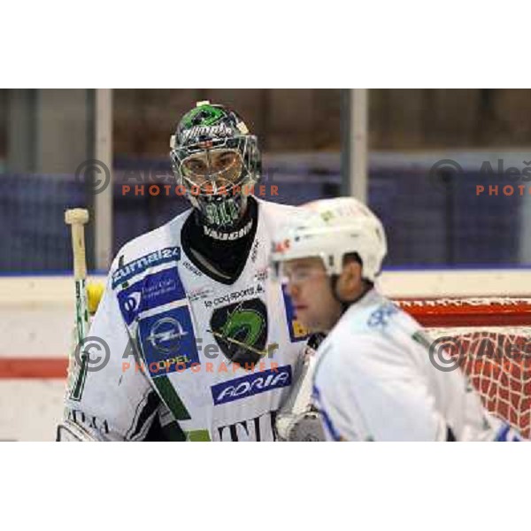 Ales Sila at ice hockey match Acroni Jesenice- Tilia Olimpija in round 32 of EBE league, played in Podmezakla, Jesenice 12.12.2008. Acroni Jesenice won 5:0 