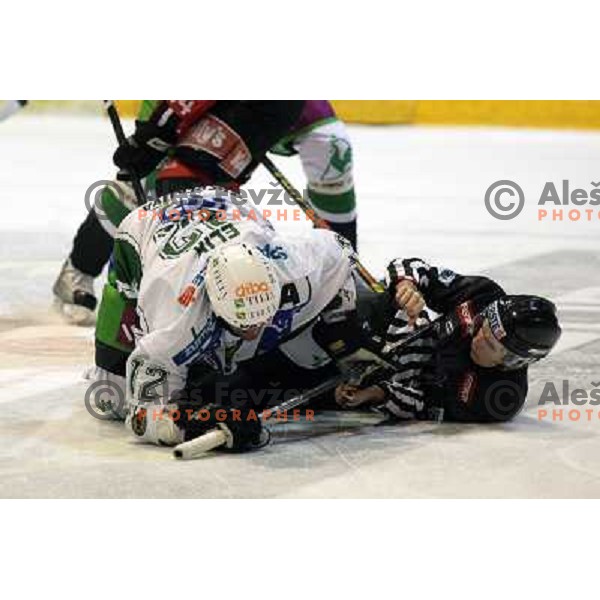 Elik at ice hockey match Acroni Jesenice- Tilia Olimpija in round 32 of EBE league, played in Podmezakla, Jesenice 12.12.2008. Acroni Jesenice won 5:0 