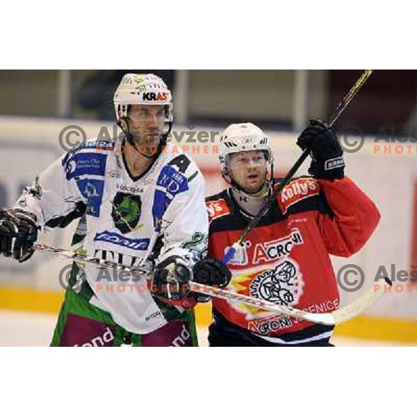 Greg kuznik (left) and Andrej Hebar at ice hockey match Acroni Jesenice- Tilia Olimpija in round 32 of EBE league, played in Podmezakla, Jesenice 12.12.2008. Acroni Jesenice won 5:0 