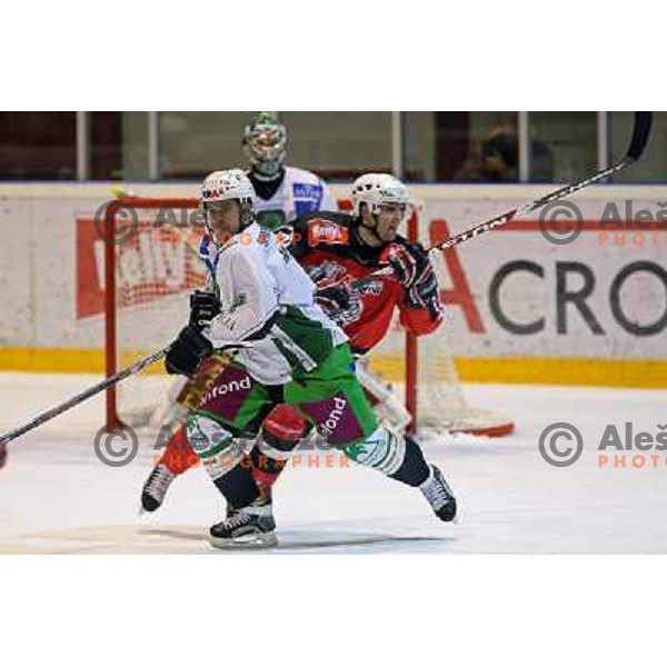 Kevin Mitchell at ice hockey match Acroni Jesenice- Tilia Olimpija in round 32 of EBE league, played in Podmezakla, Jesenice 12.12.2008. Acroni Jesenice won 5:0 