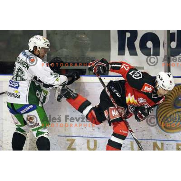 Petrilainen and David Rodman at ice hockey match Acroni Jesenice- Tilia Olimpija in round 32 of EBE league, played in Podmezakla, Jesenice 12.12.2008. Acroni Jesenice won 5:0 