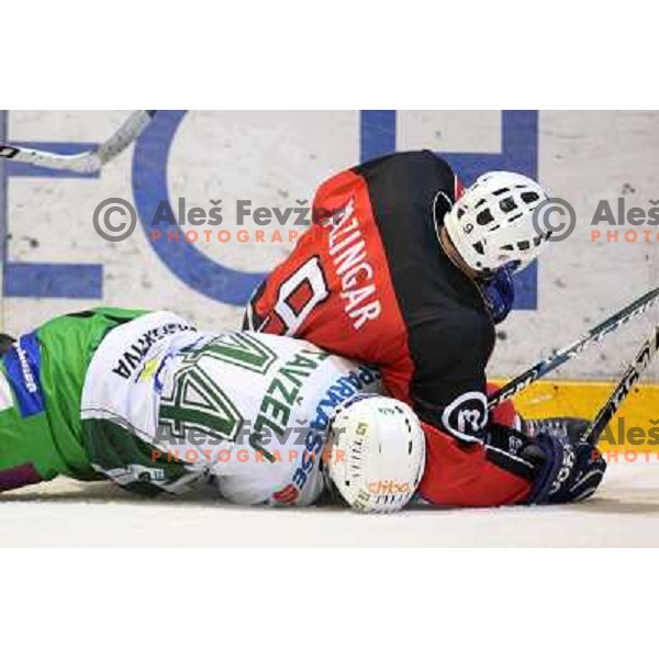 Tavzelj and RAzingar at ice hockey match Acroni Jesenice- Tilia Olimpija in round 32 of EBE league, played in Podmezakla, Jesenice 12.12.2008. Acroni Jesenice won 5:0 