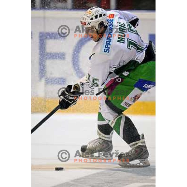 Egon Muric at ice hockey match Acroni Jesenice- Tilia Olimpija in round 32 of EBE league, played in Podmezakla, Jesenice 12.12.2008. Acroni Jesenice won 5:0 