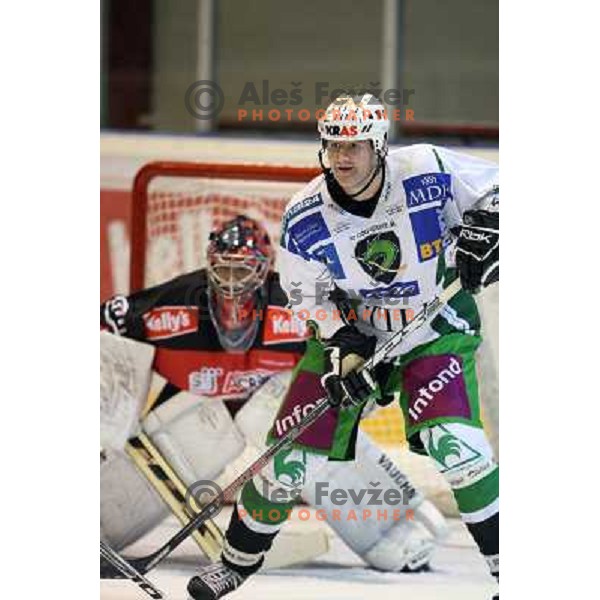 Nik Zupancic at ice hockey match Acroni Jesenice- Tilia Olimpija in round 32 of EBE league, played in Podmezakla, Jesenice 12.12.2008. Acroni Jesenice won 5:0 