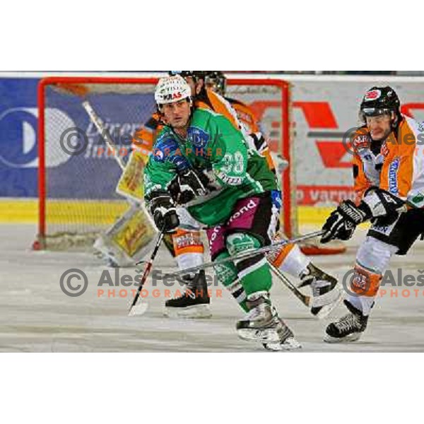 Frank Banham at ice hockey match Tilia Olimpija-Graz 99ers in round 33 of EBEL league, played in Hala Tivoli, Ljubljana 14.12.2008 