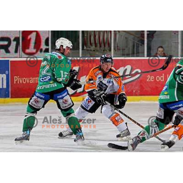 Todd Elik at ice hockey match Tilia Olimpija-Graz 99ers in round 33 of EBEL league, played in Hala Tivoli, Ljubljana 14.12.2008 