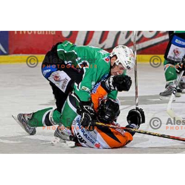 Groznik and Iob at ice hockey match Tilia Olimpija-Graz 99ers in round 33 of EBEL league, played in Hala Tivoli, Ljubljana 14.12.2008 
