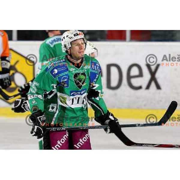 Egon Muric at ice hockey match Tilia Olimpija-Graz 99ers in round 33 of EBEL league, played in Hala Tivoli, Ljubljana 14.12.2008 