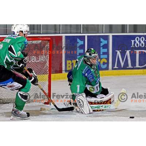 Groznik and Sila (1) at ice hockey match Tilia Olimpija-Graz 99ers in round 33 of EBEL league, played in Hala Tivoli, Ljubljana 14.12.2008 