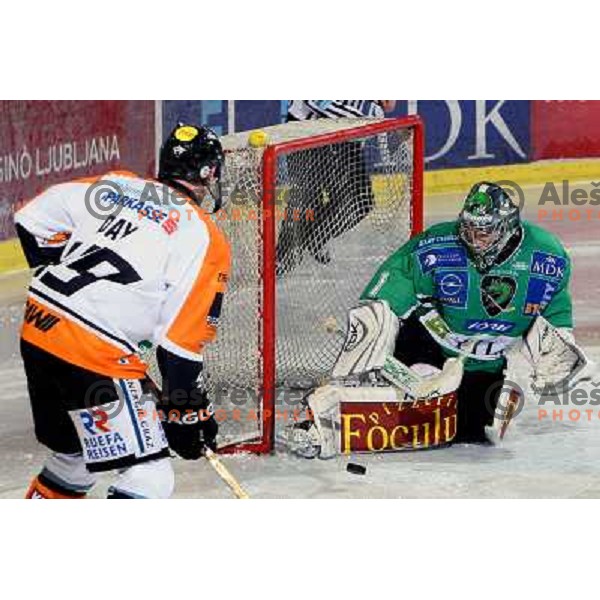 Day and Sila (1) at ice hockey match Tilia Olimpija-Graz 99ers in round 33 of EBEL league, played in Hala Tivoli, Ljubljana 14.12.2008 