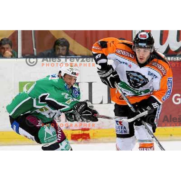 Tomaz Vnuk at ice hockey match Tilia Olimpija-Graz 99ers in round 33 of EBEL league, played in Hala Tivoli, Ljubljana 14.12.2008 