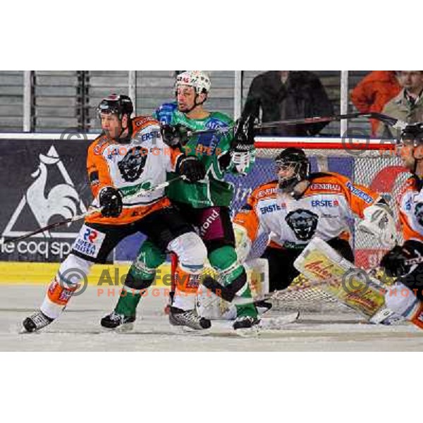 Yarema at ice hockey match Tilia Olimpija-Graz 99ers in round 33 of EBEL league, played in Hala Tivoli, Ljubljana 14.12.2008 