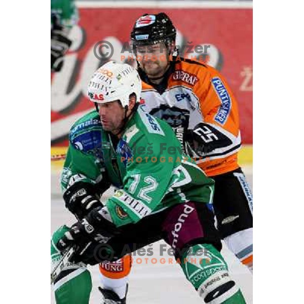 Todd Elik (12) at ice hockey match Tilia Olimpija-Graz 99ers in round 33 of EBEL league, played in Hala Tivoli, Ljubljana 14.12.2008 