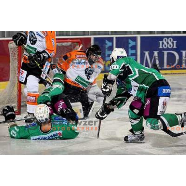 Banham at ice hockey match Tilia Olimpija-Graz 99ers in round 33 of EBEL league, played in Hala Tivoli, Ljubljana 14.12.2008 Tilia Olimpija won 4:2 