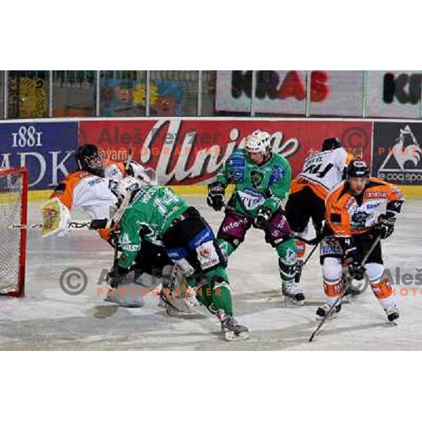 Hocevar and Muric at ice hockey match Tilia Olimpija-Graz 99ers in round 33 of EBEL league, played in Hala Tivoli, Ljubljana 14.12.2008 Tilia Olimpija won 4:2 