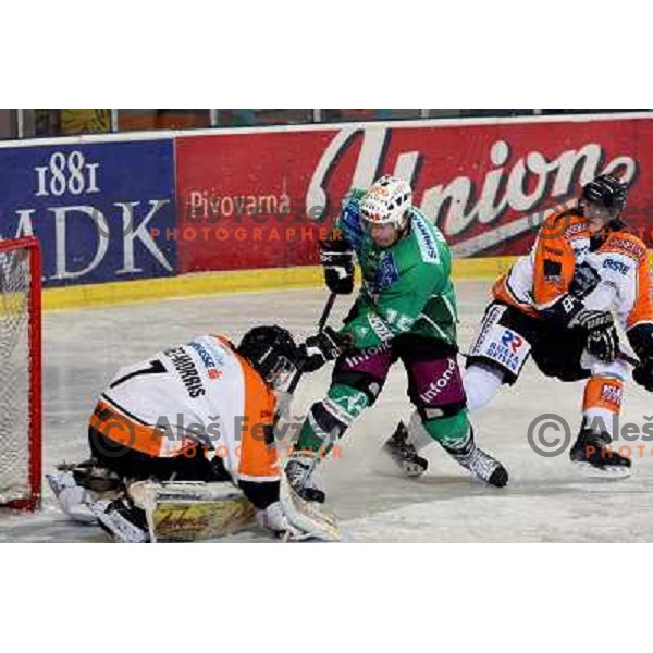 Morris and Muric at ice hockey match Tilia Olimpija-Graz 99ers in round 33 of EBEL league, played in Hala Tivoli, Ljubljana 14.12.2008 Tilia Olimpija won 4:2 