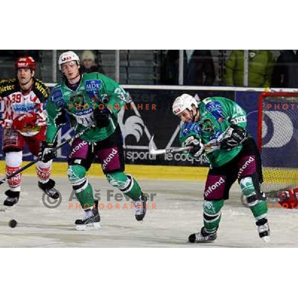 Ziga Pavlin (34) and Tomaz Vnuk (24) at ice hockey match Tilia Olimpija- KAC in Ebel league, played in Hala Tivoli, Ljubljana 19.12.2008 