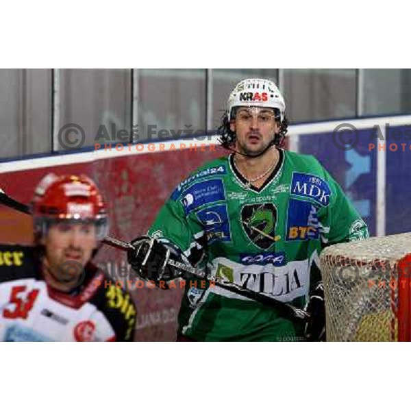 Frank Banham at ice hockey match Tilia Olimpija- KAC in Ebel league, played in Hala Tivoli, Ljubljana 19.12.2008 