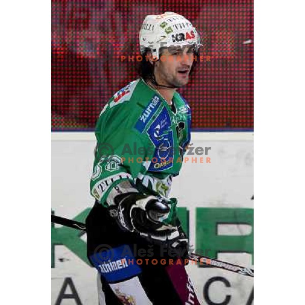 Frank Banham at ice hockey match Tilia Olimpija- KAC in Ebel league, played in Hala Tivoli, Ljubljana 19.12.2008 