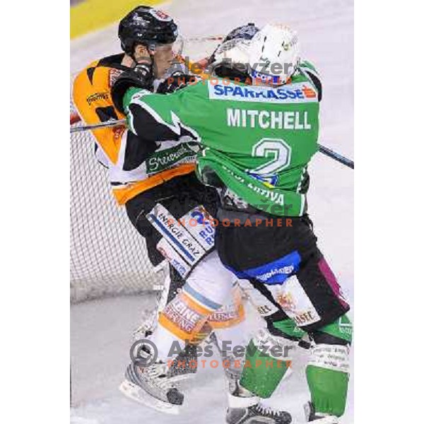 Mitchel at ice hockey match in the EBEL League , Tilia Olimpija - Graz 99ers, 26.12.2008 Hala Tivoli, Ljubljana 