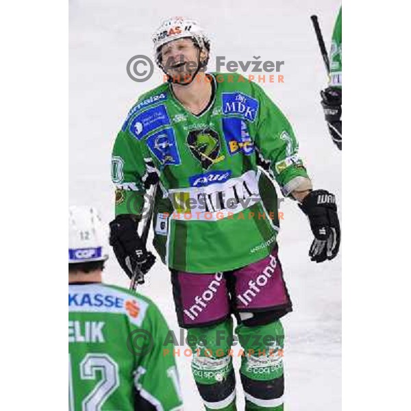 Yarema at ice hockey match in the EBEL League , Tilia Olimpija - Graz 99ers, 26.12.2008 Hala Tivoli, Ljubljana 