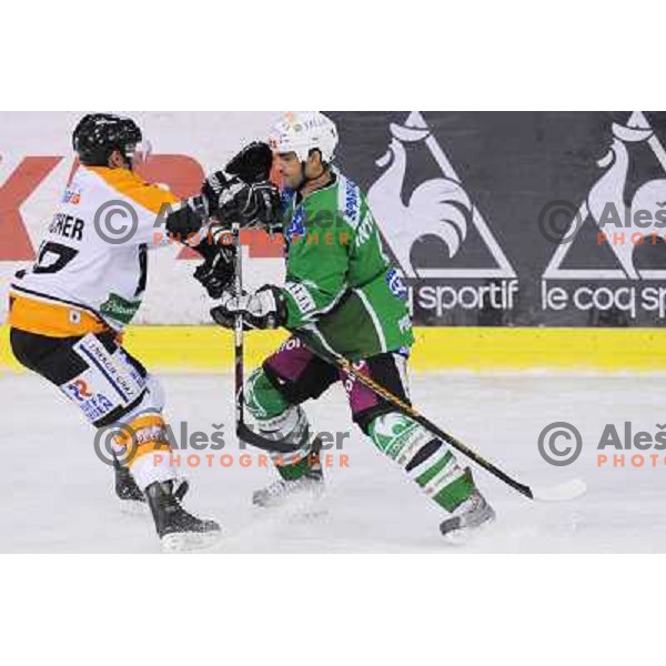 Intranuovo at ice hockey match in the EBEL League , Tilia Olimpija - Graz 99ers, 26.12.2008 Hala Tivoli, Ljubljana 