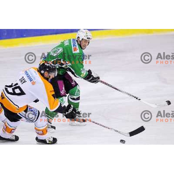 Vnuk at ice hockey match in the EBEL League , Tilia Olimpija - Graz 99ers, 26.12.2008 Hala Tivoli, Ljubljana 