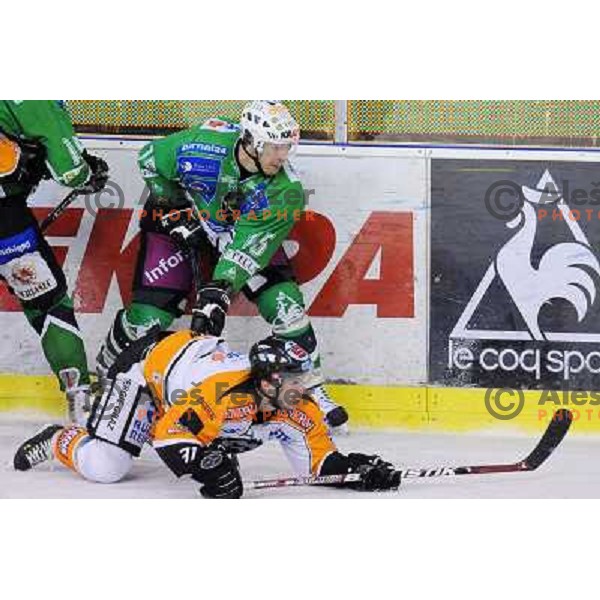 Muric at ice hockey match in the EBEL League , Tilia Olimpija - Graz 99ers, 26.12.2008 Hala Tivoli, Ljubljana 