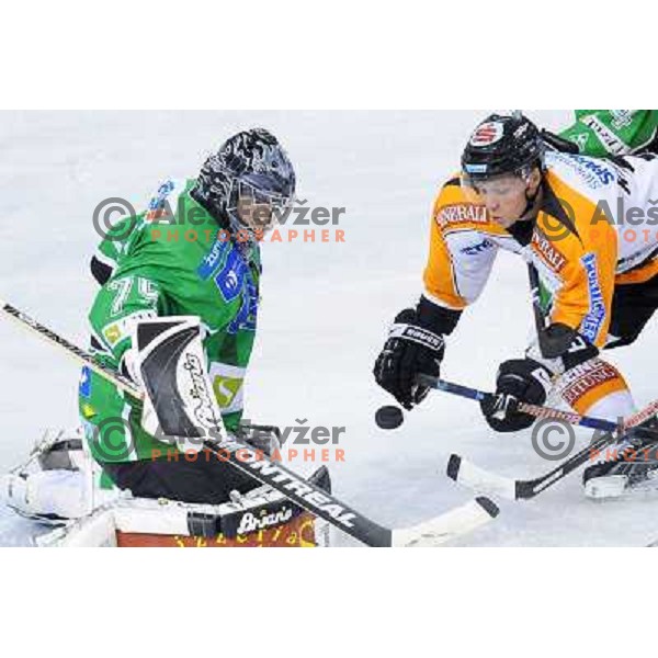 Korhonen at ice hockey match in the EBEL League , Tilia Olimpija - Graz 99ers, 26.12.2008 Hala Tivoli, Ljubljana 