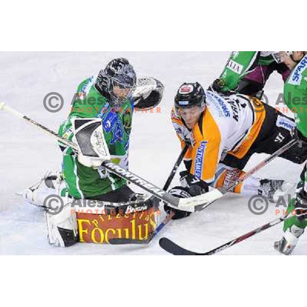Korhonen at ice hockey match in the EBEL League , Tilia Olimpija - Graz 99ers, 26.12.2008 Hala Tivoli, Ljubljana 